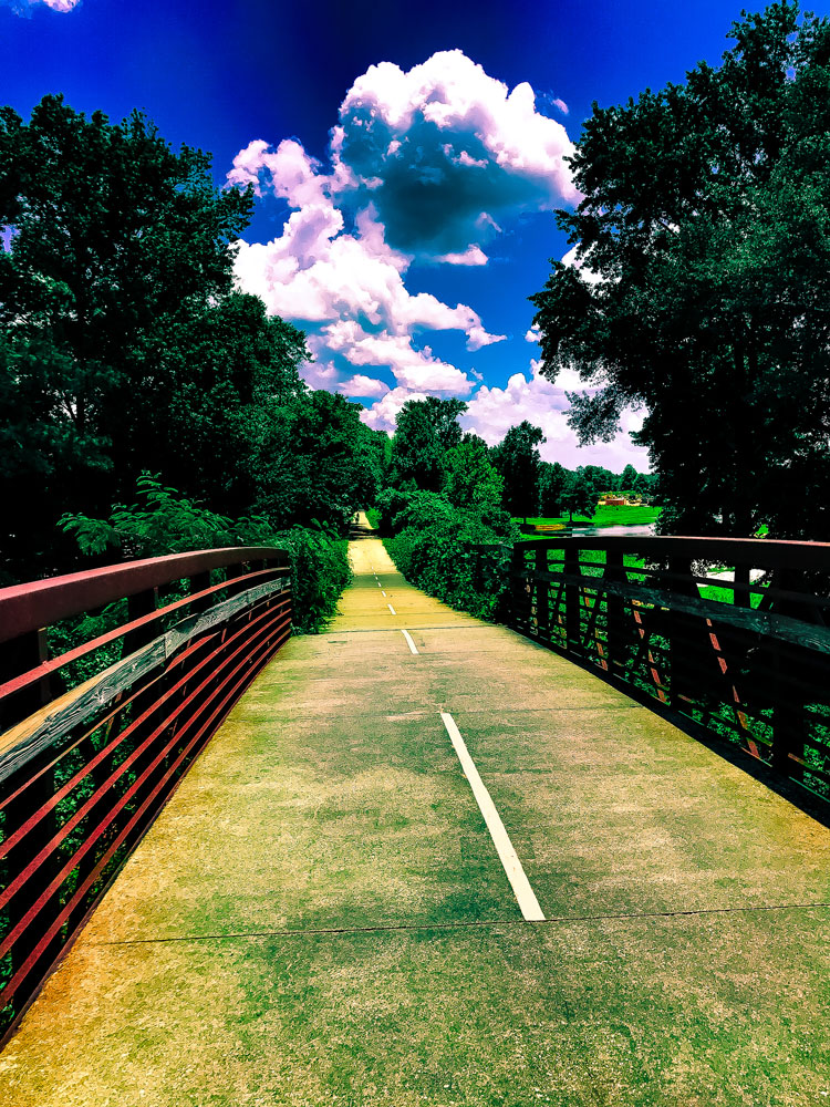 Download On a Silver Comet Bridge - Bike Trail Stock Photo Download - Design Preview