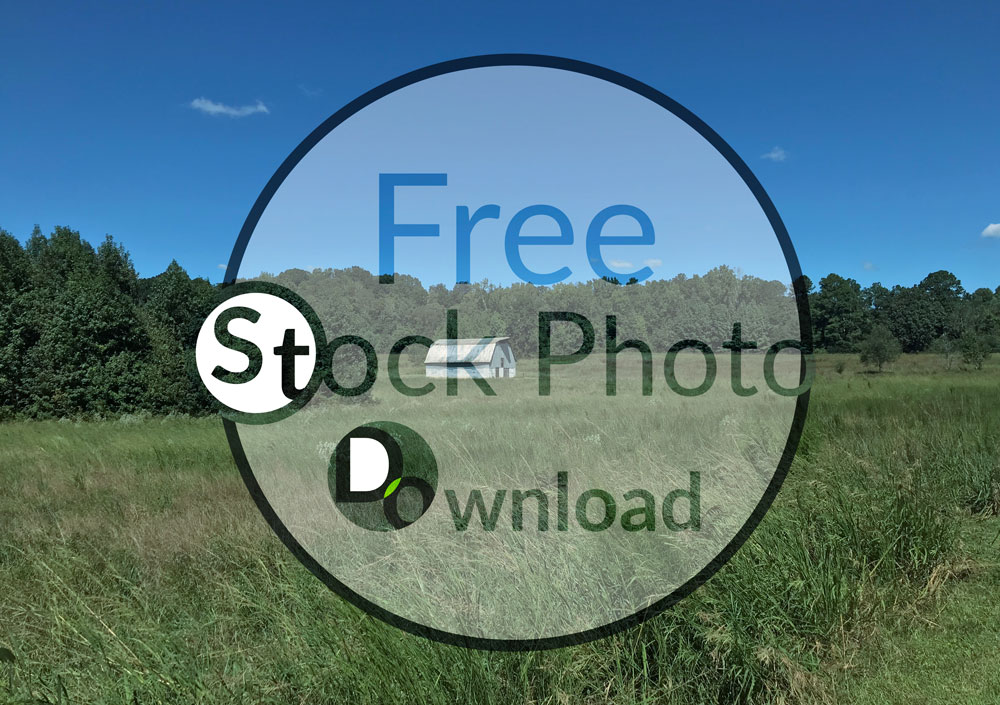 Download Barn in Field - Open Field Stock Photo Download - Brand Preview
