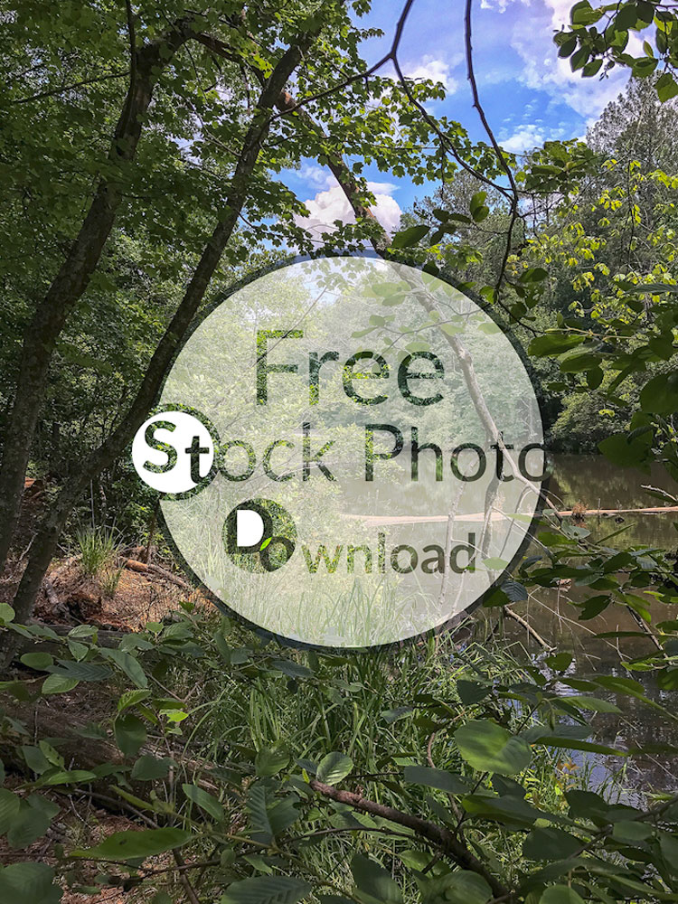 Download Brush Pond - Flowing Water Stock Photo Download - Brand Preview