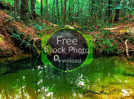 Download Spring Green - Flowing Water Stock Photo Download - Brand Preview
