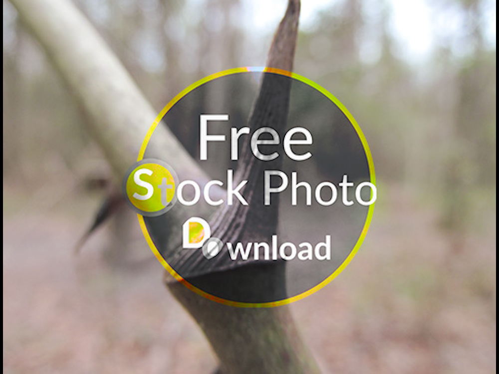Download Stick Close Up - Texture Focused Stock Photo Download - Brand Preview