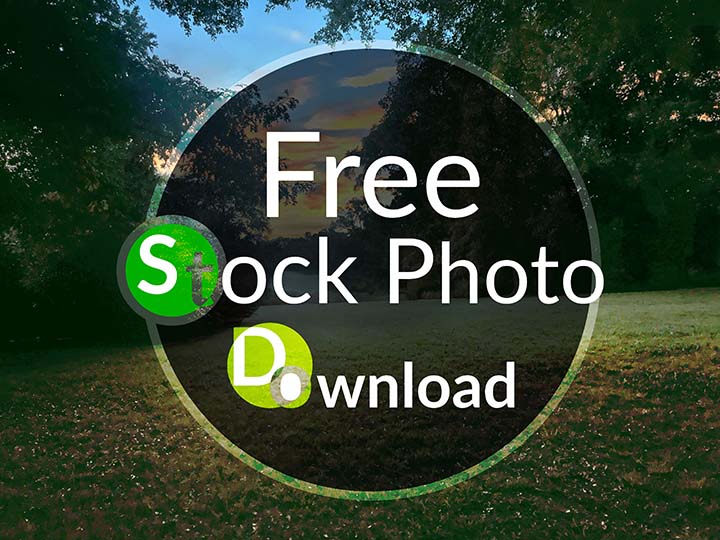 Download Sunset in Park - Open Field Stock Photo Download - Brand Preview